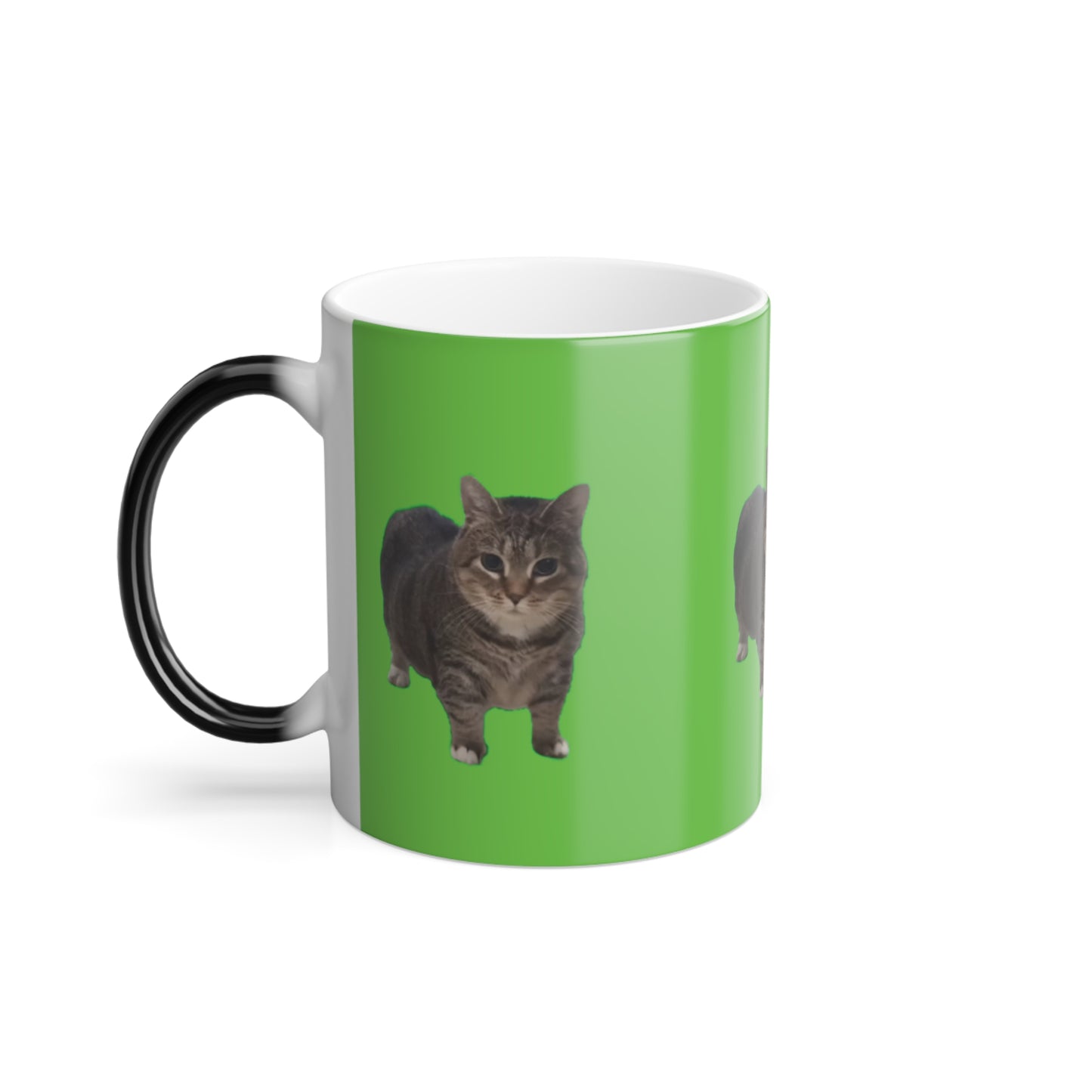 Taza Cat Barinrot 😂