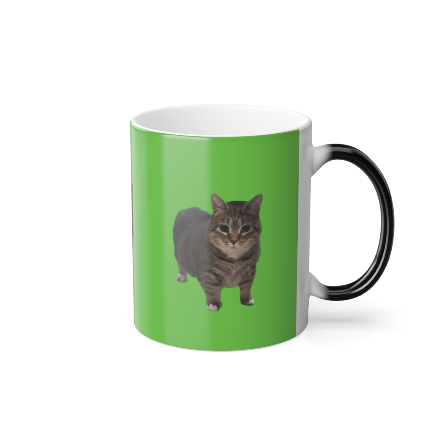 Taza Cat Barinrot 😂
