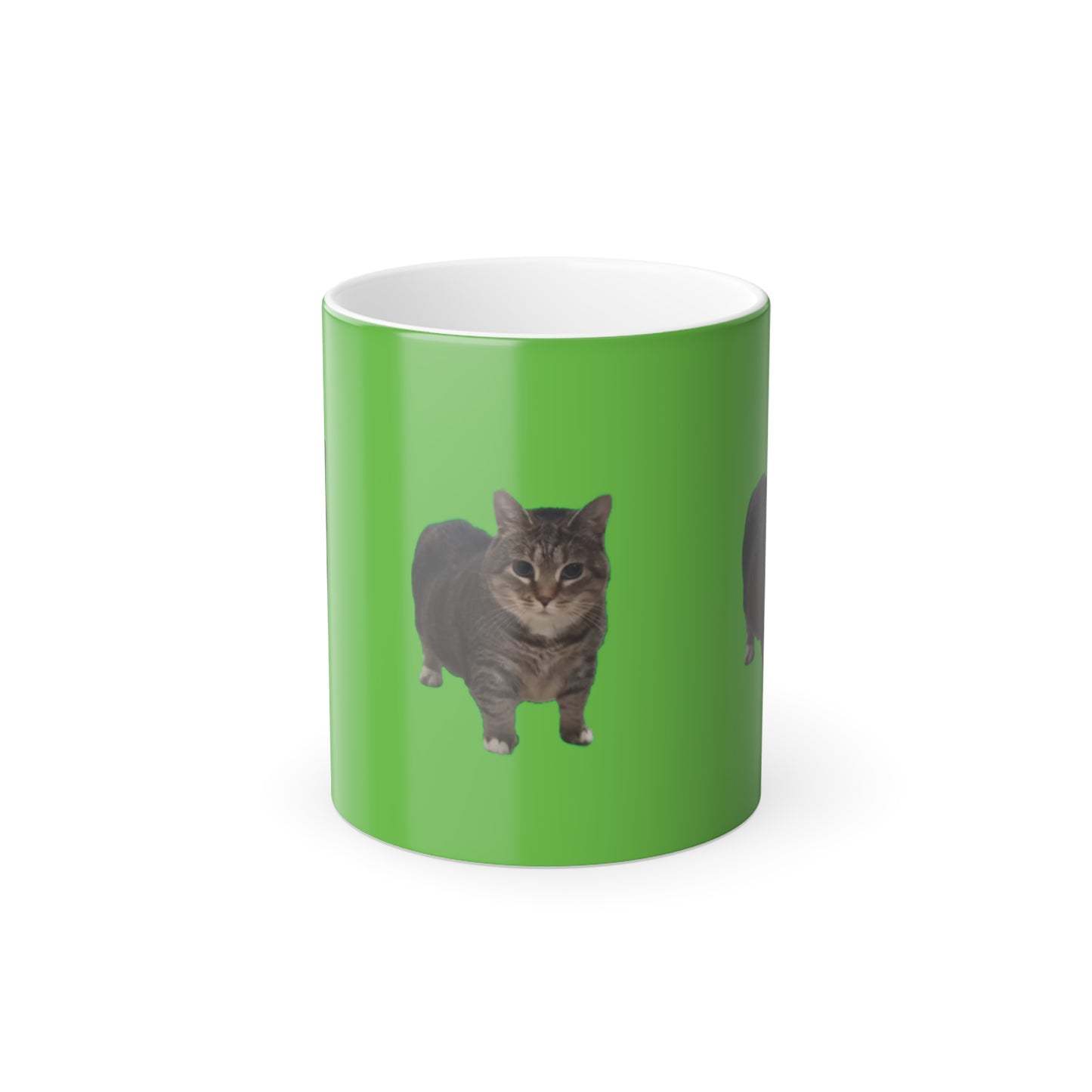 Taza Cat Barinrot 😂