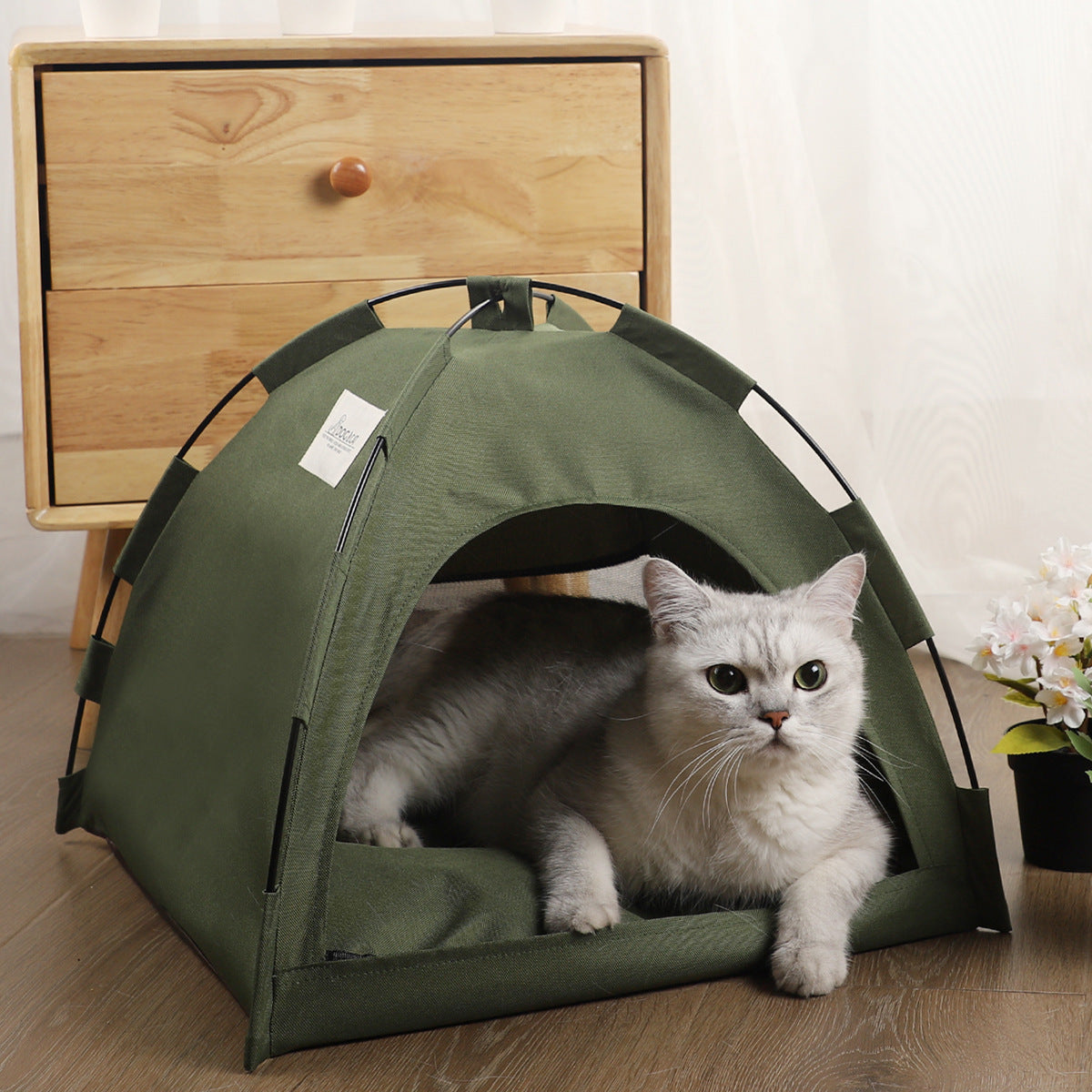 Cat Tent Mat 😻