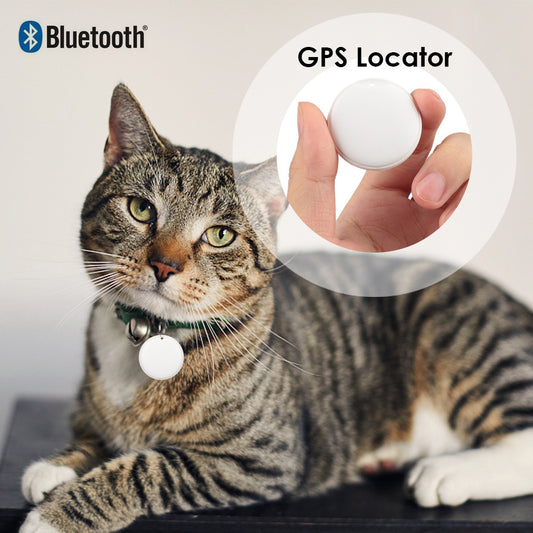 Rastreador GPS para gatos