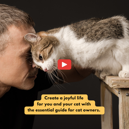 Essential Guide for Cat Owners