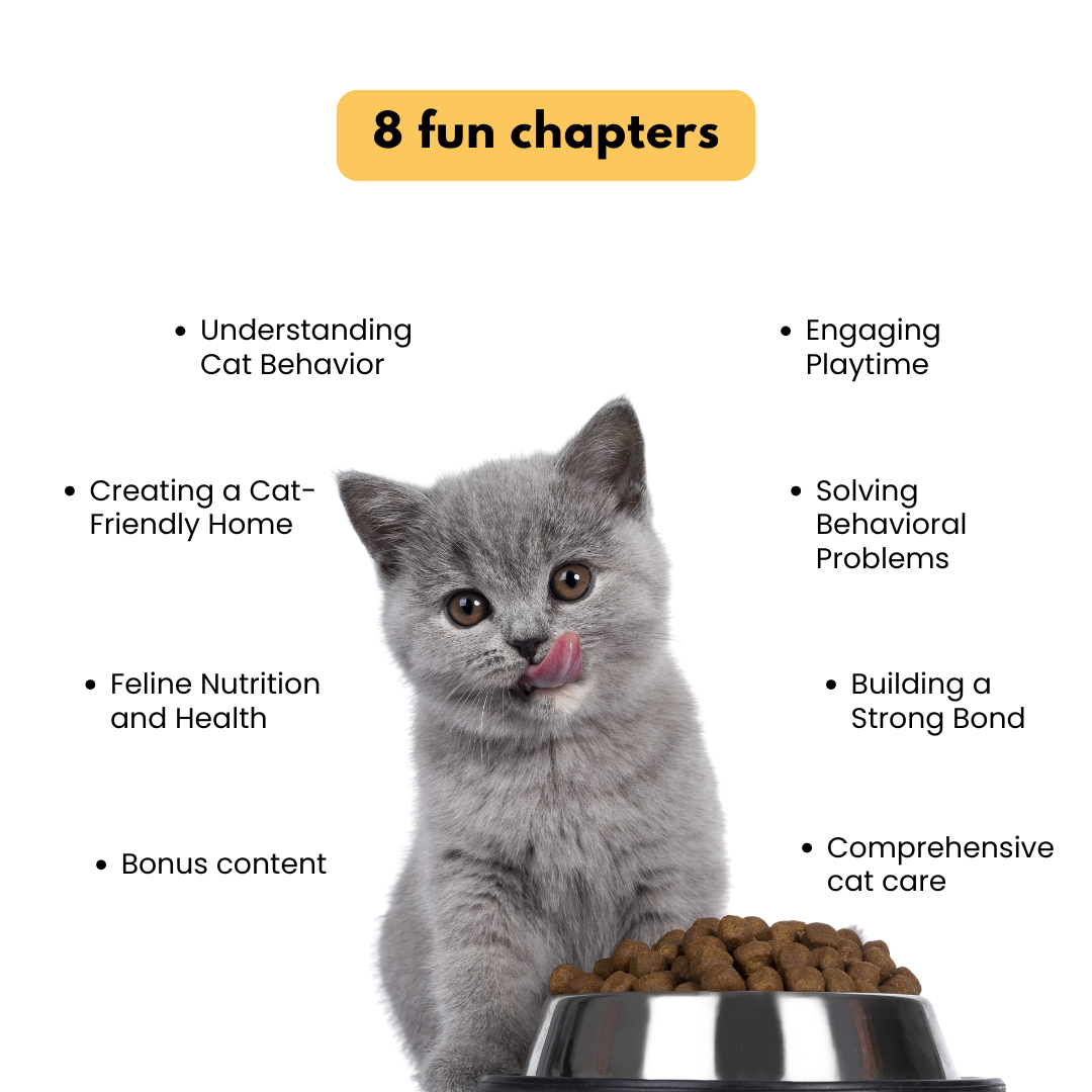 Essential Guide for Cat Owners