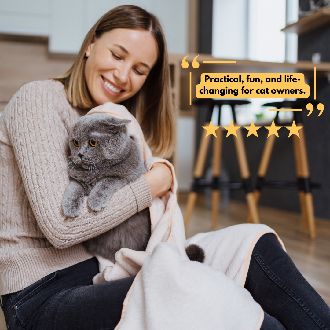 Essential Guide for Cat Owners