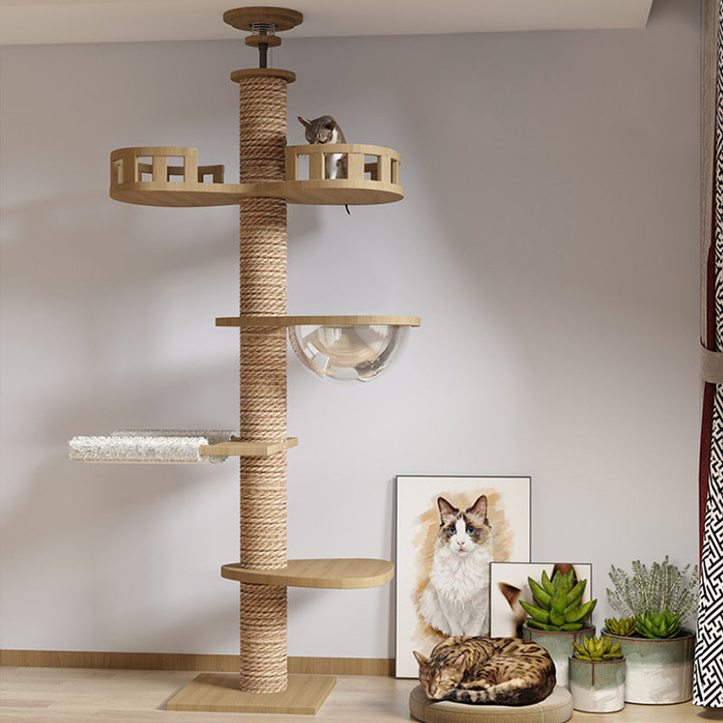 Cat Climbing Frame